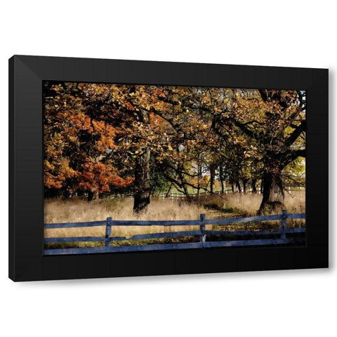 Fenced In Black Modern Wood Framed Art Print by Romita, Denise