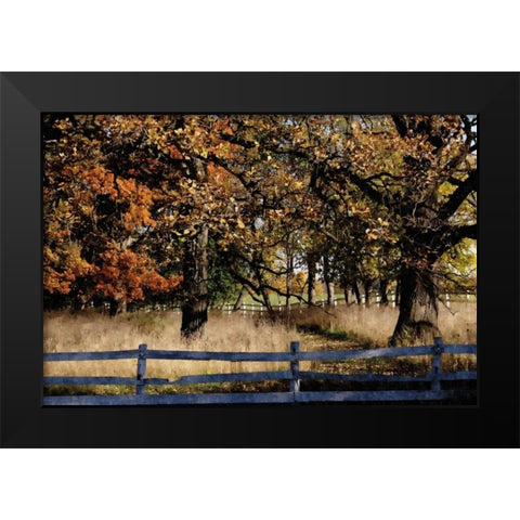 Fenced In Black Modern Wood Framed Art Print by Romita, Denise