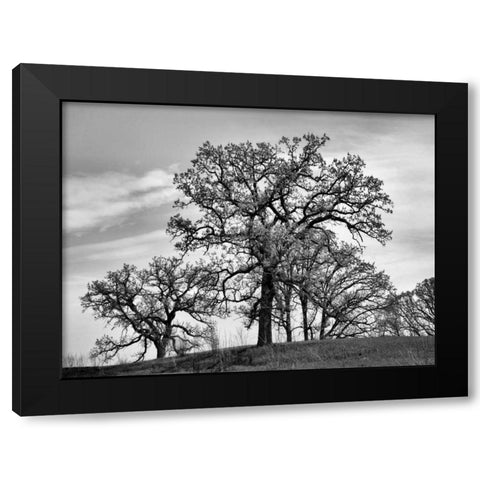 Parkside Black Modern Wood Framed Art Print by Romita, Denise