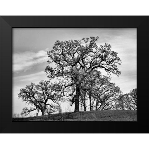 Parkside Black Modern Wood Framed Art Print by Romita, Denise