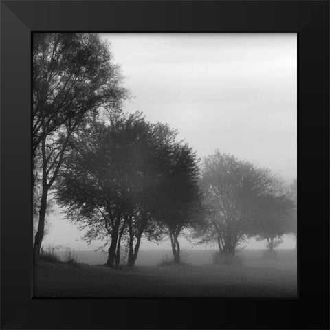 Fog Through the Trees I Black Modern Wood Framed Art Print by Romita, Denise