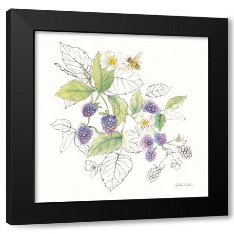 Berries and Bees III Black Modern Wood Framed Art Print by Coulter, Cynthia