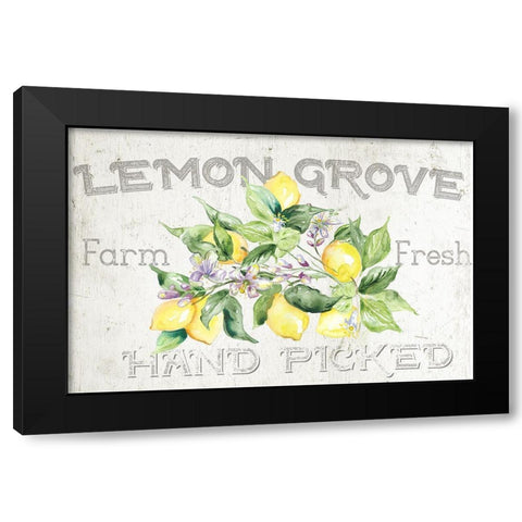 Lemon  Grove I Black Modern Wood Framed Art Print by Tre Sorelle Studios