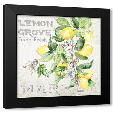 Lemon  Grove II Black Modern Wood Framed Art Print with Double Matting by Tre Sorelle Studios