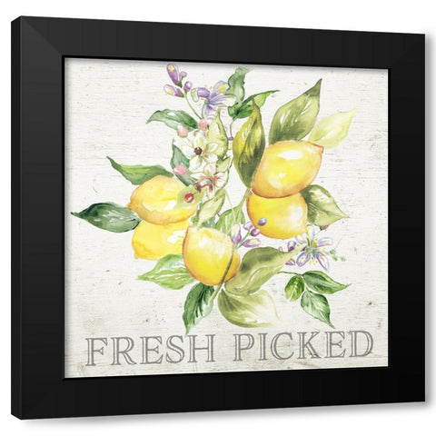 Lemon  Grove III Black Modern Wood Framed Art Print by Tre Sorelle Studios