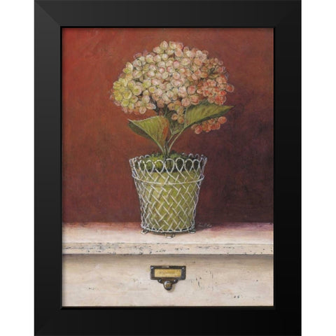 Hydrangea Study Black Modern Wood Framed Art Print by Fisk, Arnie