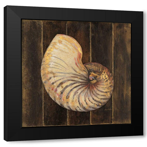 Ocean Nautilus Black Modern Wood Framed Art Print with Double Matting by Fisk, Arnie