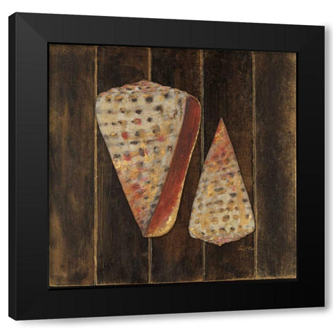 Ocean Shells Black Modern Wood Framed Art Print by Fisk, Arnie