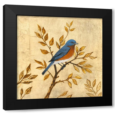 Golden Bluebird Black Modern Wood Framed Art Print with Double Matting by Fisk, Arnie