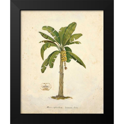 Banana Palm Illustration  Black Modern Wood Framed Art Print by Fisk, Arnie