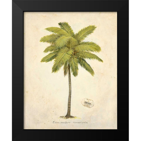 Coconut Palm Illustration  Black Modern Wood Framed Art Print by Fisk, Arnie