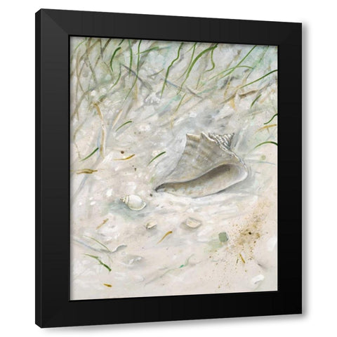 Seaside ConchÂ  Black Modern Wood Framed Art Print by FISK, Arnie