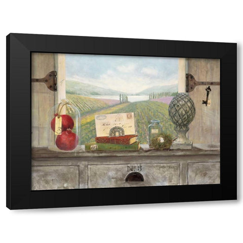 Vineyard Chateau View Black Modern Wood Framed Art Print with Double Matting by Fisk, Arnie