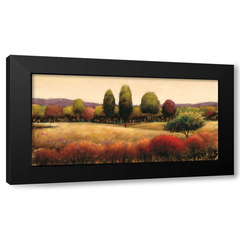 Vista Black Modern Wood Framed Art Print with Double Matting by Wiens, James