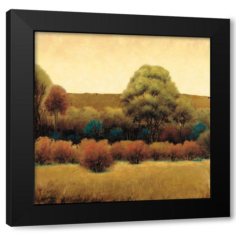 Amber Horizon 2 Black Modern Wood Framed Art Print by Wiens, James