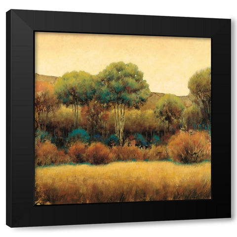 Amber Horizon 1 Black Modern Wood Framed Art Print with Double Matting by Wiens, James