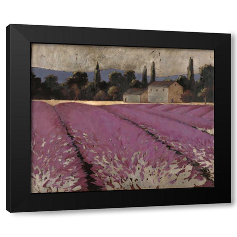 Lavender Fields 2 Black Modern Wood Framed Art Print with Double Matting by Wiens, James