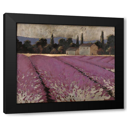 Lavender Fields 2 Black Modern Wood Framed Art Print by Wiens, James