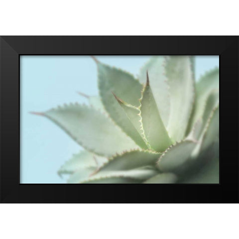 Soft Focus Succulent 4 Black Modern Wood Framed Art Print by Greenwood, Julie