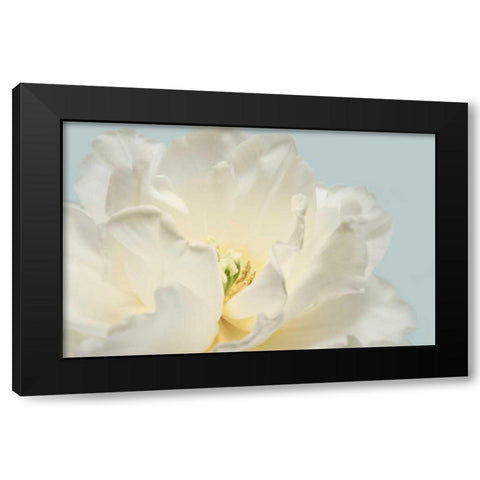 Now Serene Black Modern Wood Framed Art Print by Greenwood, Julie