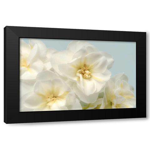 Winter Whites Black Modern Wood Framed Art Print by Greenwood, Julie