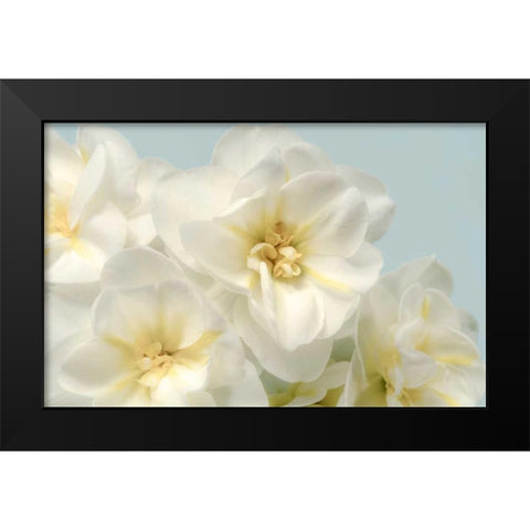 Winter Whites Black Modern Wood Framed Art Print by Greenwood, Julie