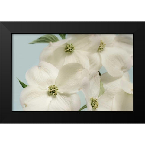 Spring Whites Black Modern Wood Framed Art Print by Greenwood, Julie