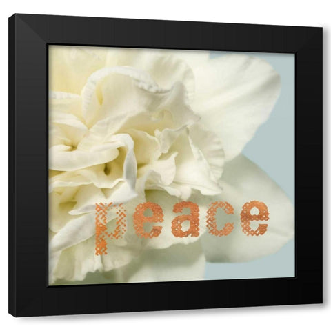 Peace Blossom Black Modern Wood Framed Art Print with Double Matting by Greenwood, Julie