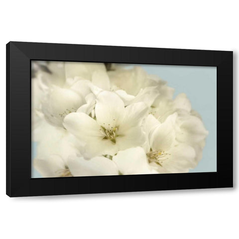 Summer Whites Black Modern Wood Framed Art Print with Double Matting by Greenwood, Julie