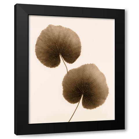 Galax Leaf Black Modern Wood Framed Art Print with Double Matting by Greenwood, Julie