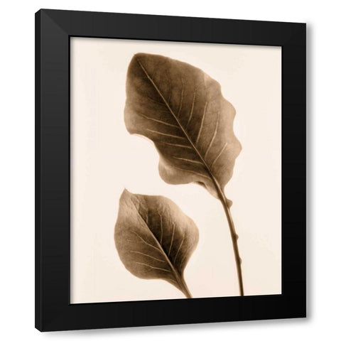 Philodendron Leaf Black Modern Wood Framed Art Print with Double Matting by Greenwood, Julie