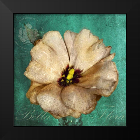 Bella Flora Black Modern Wood Framed Art Print by Atria, Cristin
