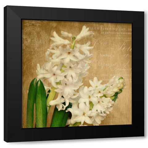 Scent of A Flower Black Modern Wood Framed Art Print with Double Matting by Atria, Cristin