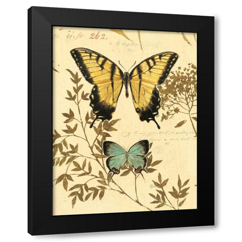 Natures Curiosities 6 Black Modern Wood Framed Art Print by Barrett, Chad