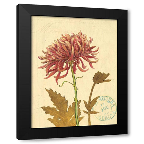 Natures Curiosities 5 Black Modern Wood Framed Art Print by Barrett, Chad