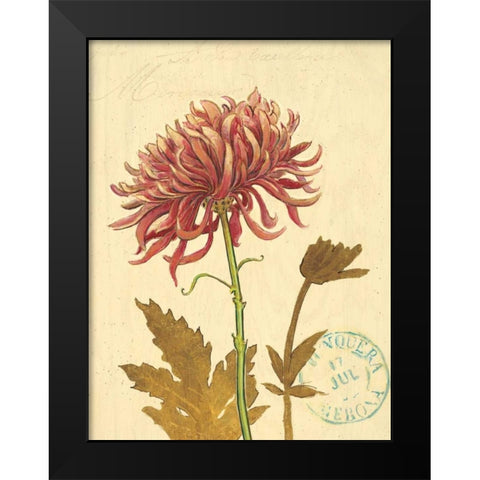 Natures Curiosities 5 Black Modern Wood Framed Art Print by Barrett, Chad