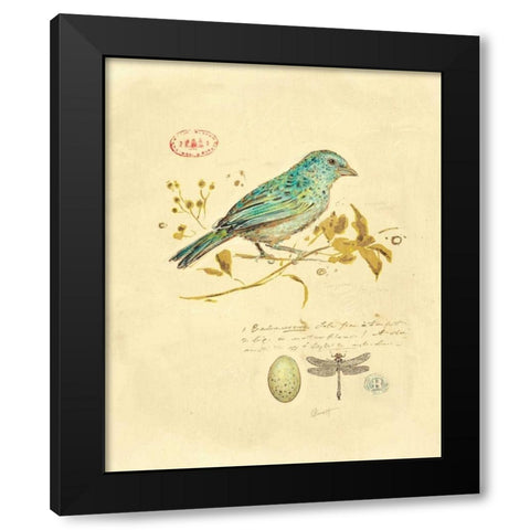 Gilded Songbird 1  Black Modern Wood Framed Art Print by Barrett, Chad