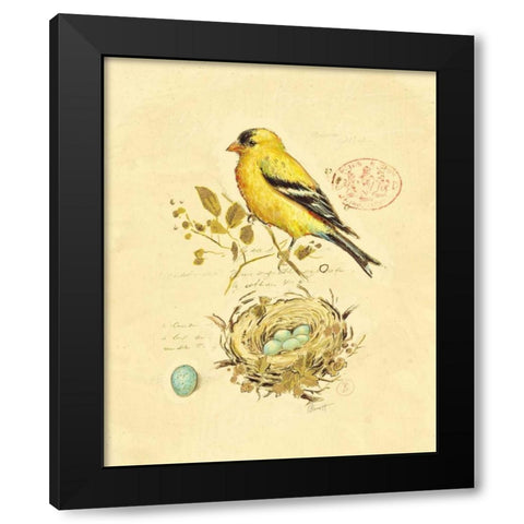 Gilded Songbird 2 Black Modern Wood Framed Art Print by Barrett, Chad