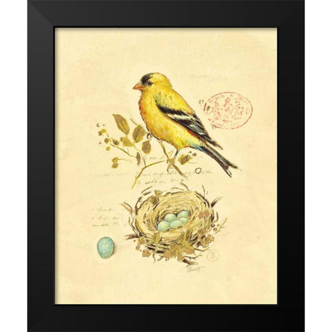 Gilded Songbird 2 Black Modern Wood Framed Art Print by Barrett, Chad