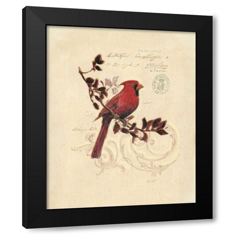 Filigree Cardinal Black Modern Wood Framed Art Print by Barrett, Chad