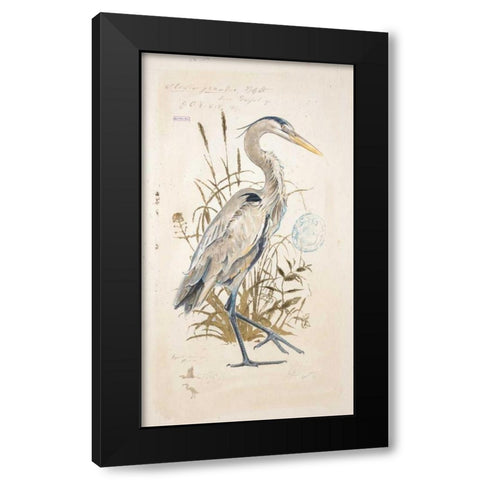 Great Blue Heron Black Modern Wood Framed Art Print with Double Matting by Barrett, Chad