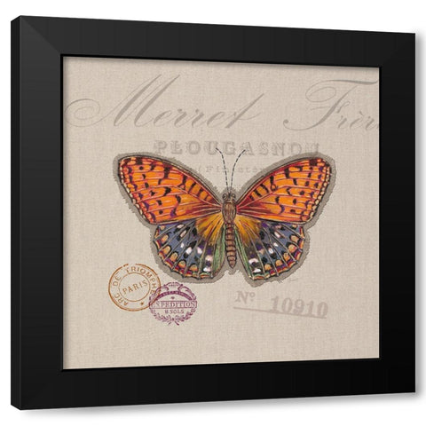 Butterfly Species 1 Black Modern Wood Framed Art Print by Barrett, Chad