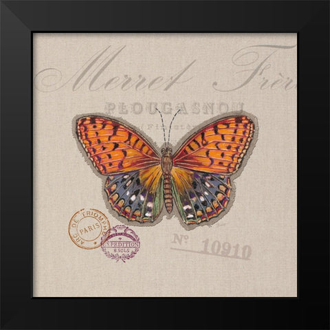 Butterfly Species 1 Black Modern Wood Framed Art Print by Barrett, Chad