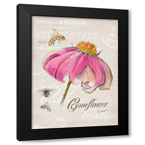 Sketchbook Coneflower  Black Modern Wood Framed Art Print by Barrett, Chad