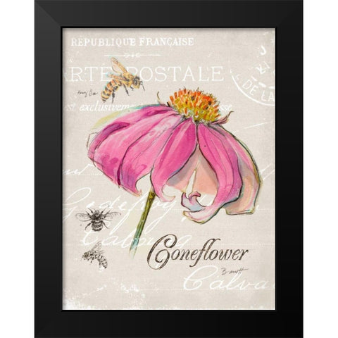 Sketchbook Coneflower  Black Modern Wood Framed Art Print by Barrett, Chad