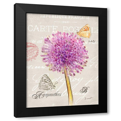 Sketchbook Agapanthus Black Modern Wood Framed Art Print with Double Matting by Barrett, Chad