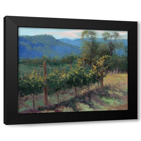 Vineyard On The Hill Black Modern Wood Framed Art Print with Double Matting by McGannon, Jill Schultz