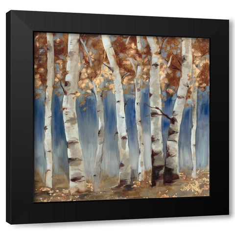 Copper and Blue Birch Trees, Square 2 Black Modern Wood Framed Art Print with Double Matting by Lehman, Laurel