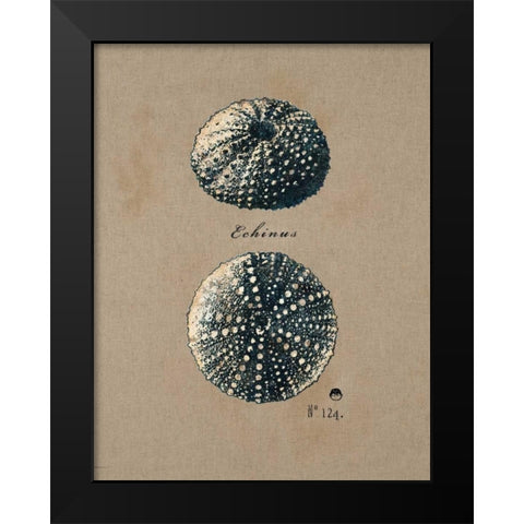 Vintage Linen Sea Urchin Black Modern Wood Framed Art Print by Regina Andrew Design
