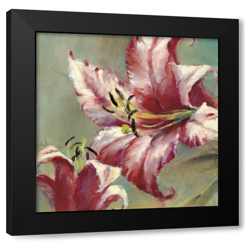 Blooming Lily Black Modern Wood Framed Art Print with Double Matting by Heighton, Brent